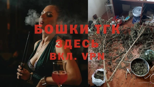 ешки Надым