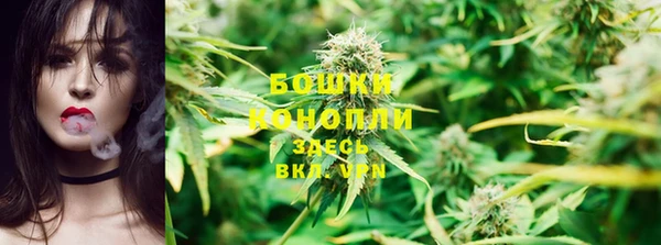 ешки Надым