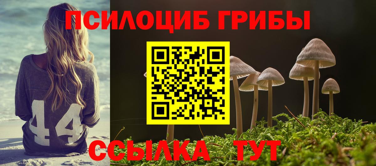 Костомукша  Псилоцибиновые грибы ЛСД  Вход с VPN 