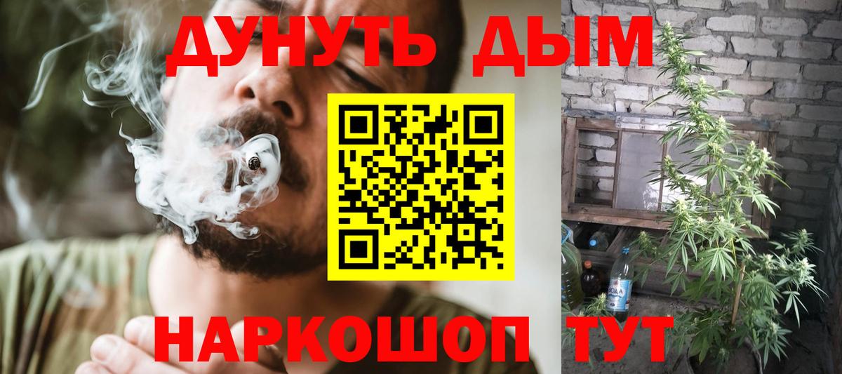 Бошки Шишки семена Костомукша